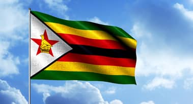 Zimbabwes dollar kollapsar: ZWL/USD minskade med 94 % på ett år och kapitalkontrollen ökar
