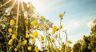 Ripple (XRP) flourishes as Binance-SEC agreement offers vital support