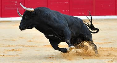 Bitcoin hits $30k as greed takes over: Next stop $40k?