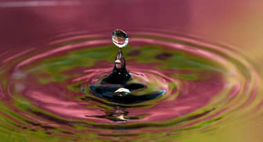 PENDLE soars as yield trading protocol expands LSD pools