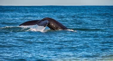 Whale dormant for 2 years sells $2.3 million BNB