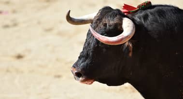 Bitcoin (BTC) displays bullish signals as exchange supply hits 5-year low