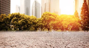 Algorand (ALGO) partners with Clinton Foundation to address climate change