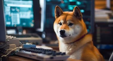 Shiba Inu burn rate volatility raises questions about SHIB's future price