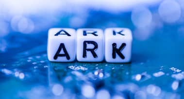 Here’s why the price of ARK cryptocurrency is rising