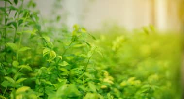 FLOKI staking surpasses $41.35M in TVL as crypto market turns green