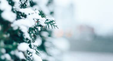OpenSea sales volume at 2023 lows as NFT winter deepens