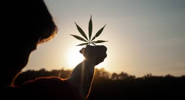 Tilray no longer expects positive free cash flow in 2024 after Q3 earnings