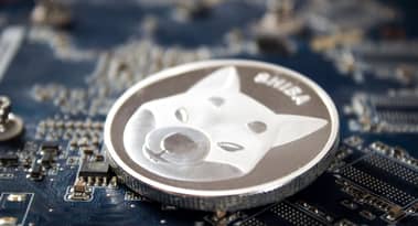 Whales acquire 22B of Shiba Inu (SHIB); Investors show interest in Aave (AAVE) and InQubeta (QUBE)