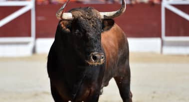 Amber Group accumulates Optimism worth $10M, boosting OP’s bullish trajectory