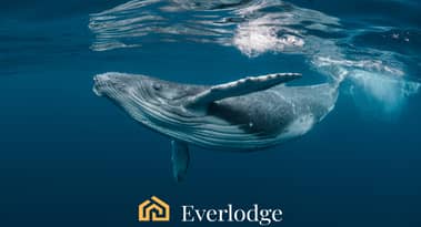 Crypto whales top bull market picks - Dogecoin, Ethereum and Everlodge