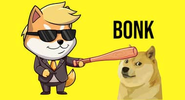Why is BONK memecoin's price soaring?