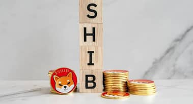 Shiba Inu-Whale kassiert 3,2 Mio. $; neuer Telegram-Bot-Token bietet eine weitere Chance
