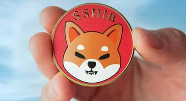 Shiba Inu (SHIB) whale net flows down 30,000% amid market uncertainty