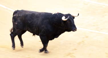 Memeinator (MMTR) outlook amid imminent Bitcoin-driven bull run