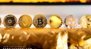 Will Cardano bounce back? Rebel Satoshi's rapidly growing presale sparks investor interest