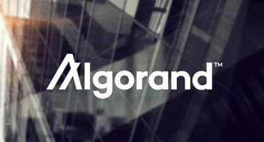 Investors accumulate Algorand (ALGO) ahead of this key ecosystem development