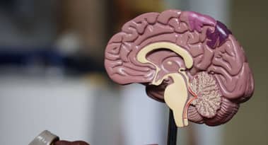 This AI stock is up 30% on Wednesday: find out more