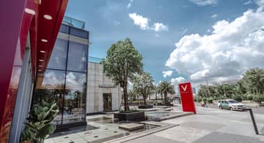 What’s going on with Vinfast (VFS) stock price?