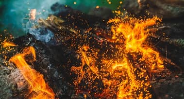 Floki DAO proposes massive token burn to secure project stability