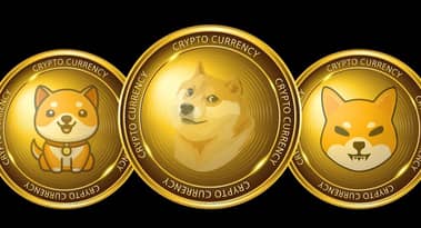 Meme parasının gizli sosu: 2024 döngüsünde tokenlardan 1000 kat getiri