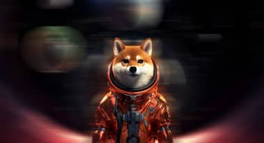 Laika Memecoin set for Moon Mission to boost web3 adoption