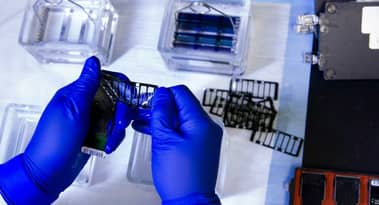 CytomX stock down 30% despite encouraging cancer study results