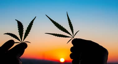 Sudáfrica se convierte en el primer país africano en legalizar la marihuana
