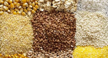 UN world food price index holds steady in June, cereal prices fall by 3%