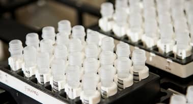 Agenus stock plummets over 50% as FDA rejects accelerated approval for BOT/BAL cancer therapy
