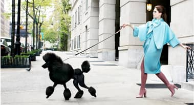 Moda e criptovalute: l'elegante meme token Poodlana ($POOD) introduce una nuova era di asset a tema