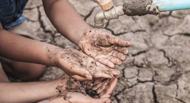 Droht eine Wasserkrise? Dürre im Amazonasgebiet löst Alarm aus – Wasserstand, Waldbrände und Nahrungsmittelsicherheit