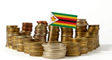 Traders express concern over Zimbabwe's 28% stock surge and weakening ZiG
