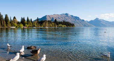 Is New Zealand risking its appeal for students by raising visa fees?