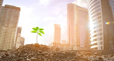 Are you a tenant or landlord in India? Harish Fabiani explains how green leasing can benefit your finances