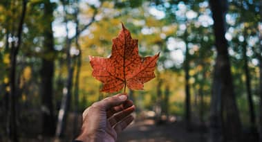 Canada to slash immigration by 20%: what it means for its economy?