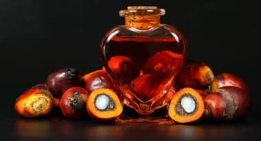 Rising global oil prices fuel Malaysian palm oil market gains