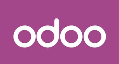 What is Odoo, and why is Alphabet investing in it?
