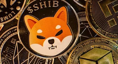 Shiba Inu coin price prediction: why the next SHIB price target is $0.000024