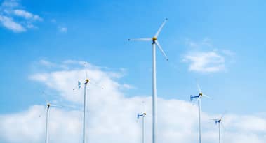 European clean energy stocks plunge as Trump election victory raises climate policy concerns