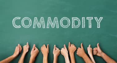 What trends dominated the commodity market in 2024?