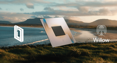 Alphabet jumps the most since October on Willow quantum chip breakthrough