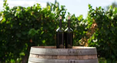 Boomers keep wine sales afloat for now, but Gen Z prefers cannabis, sobriety