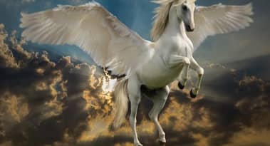 Unicorn Fart Dust (UFD) soars while Swarms and Pippin plunge