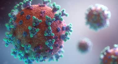 HMPV virus spreads outside China: are we staring at another pandemic?