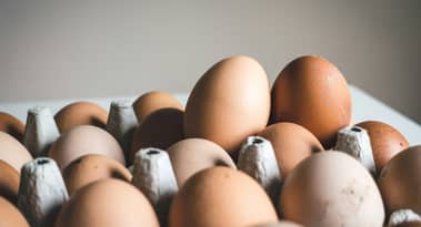 JBS enters Brazil's egg industry with 48.5% stake in Mantiqueira Alimentos