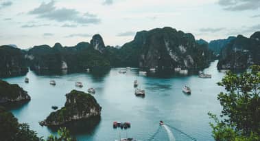 What is Vietnam considering to avoid US tariffs?