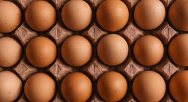 Egg prices skyrocket in the US, lifting share prices of Vital Farms and Cal-Maine: should you invest?