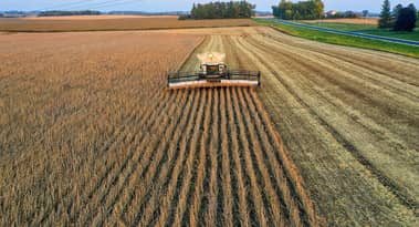 US soybean market rattled as China strikes with fresh tariffs