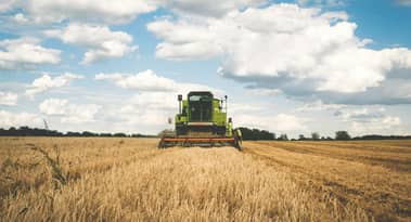 Russian wheat exports plummet for fourth straight month on lower profitability